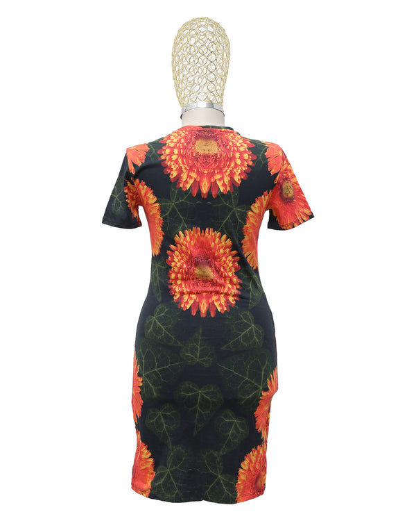 Rochie Desigual